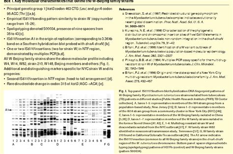bmyc12|Global dissemination of the Mycobacterium tuberculosis W.